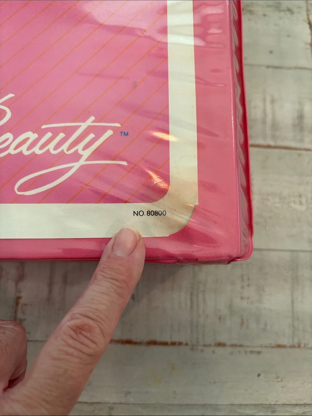 1984 Tara Toy Company American Beauty Barbie Carrying Case